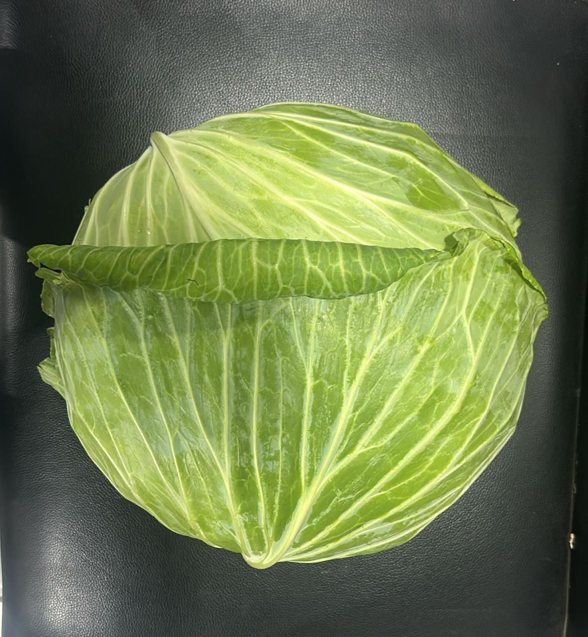 Cabbage Flat